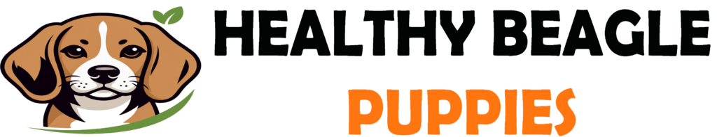 healthybeaglepuppies.com